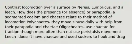 Contrast locomotion over a surface by Nereis, Lumbricus, and a leech. How does the presence (or absence) or parapodia, a segmented coelom and chaetae relate to their method of locomotion Polychaetes- they move sinusoidally with help from their parapodia and chaetae Oligocheates- use chaetae for traction though more often than not use peristalsis movement Leech- doesn't have chaetae and used suckers to hook and drag