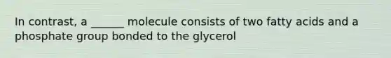 In contrast, a ______ molecule consists of two fatty acids and a phosphate group bonded to the glycerol