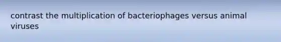 contrast the multiplication of bacteriophages versus animal viruses