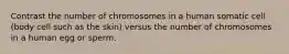 Contrast the number of chromosomes in a human somatic cell (body cell such as the skin) versus the number of chromosomes in a human egg or sperm.