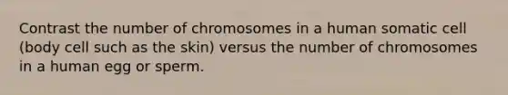 Contrast the number of chromosomes in a human somatic cell (body cell such as the skin) versus the number of chromosomes in a human egg or sperm.