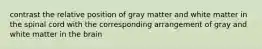 contrast the relative position of gray matter and white matter in the spinal cord with the corresponding arrangement of gray and white matter in the brain