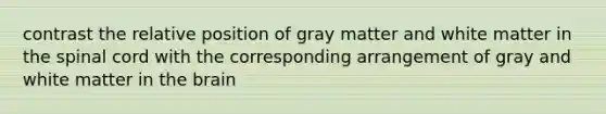 contrast the relative position of gray matter and white matter in the spinal cord with the corresponding arrangement of gray and white matter in the brain