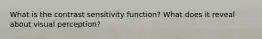 What is the contrast sensitivity function? What does it reveal about visual perception?