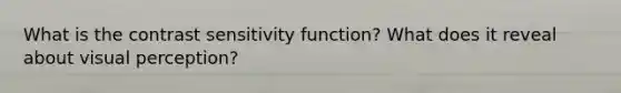 What is the contrast sensitivity function? What does it reveal about visual perception?