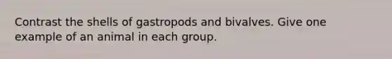 Contrast the shells of gastropods and bivalves. Give one example of an animal in each group.