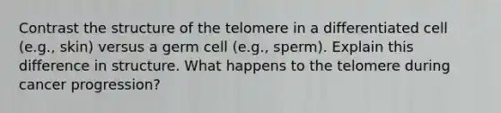 Contrast the structure of the telomere in a differentiated cell (e.g., skin) versus a germ cell (e.g., sperm). Explain this difference in structure. What happens to the telomere during cancer progression?