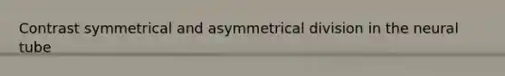 Contrast symmetrical and asymmetrical division in the neural tube