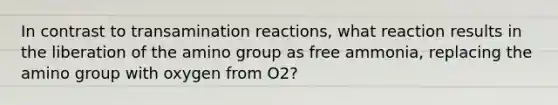 In contrast to transamination reactions, what reaction results in the liberation of the amino group as free ammonia, replacing the amino group with oxygen from O2?