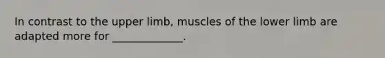 In contrast to the upper limb, muscles of the lower limb are adapted more for _____________.