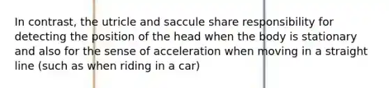 In contrast, the utricle and saccule share responsibility for detecting the position of the head when the body is stationary and also for the sense of acceleration when moving in a straight line (such as when riding in a car)