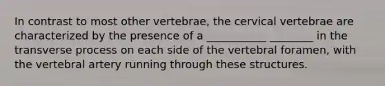 In contrast to most other vertebrae, the cervical vertebrae are characterized by the presence of a ___________ ________ in the transverse process on each side of the vertebral foramen, with the vertebral artery running through these structures.