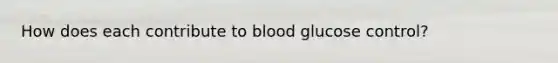 How does each contribute to blood glucose control?