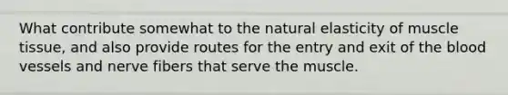 What contribute somewhat to the natural elasticity of <a href='https://www.questionai.com/knowledge/kMDq0yZc0j-muscle-tissue' class='anchor-knowledge'>muscle tissue</a>, and also provide routes for the entry and exit of <a href='https://www.questionai.com/knowledge/k7oXMfj7lk-the-blood' class='anchor-knowledge'>the blood</a> vessels and nerve fibers that serve the muscle.