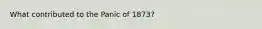 What contributed to the Panic of 1873?