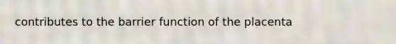 contributes to the barrier function of the placenta