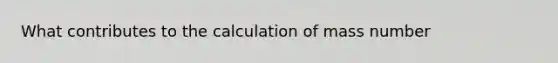 What contributes to the calculation of mass number