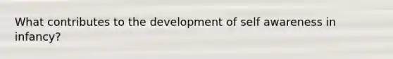 What contributes to the development of self awareness in infancy?