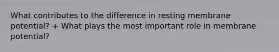 What contributes to the difference in resting membrane potential? + What plays the most important role in membrane potential?