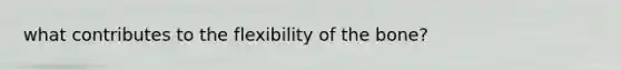 what contributes to the flexibility of the bone?