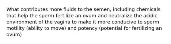 What contributes more fluids to the semen, including chemicals that help the sperm fertilize an ovum and neutralize the acidic environment of the vagina to make it more conducive to sperm motility (ability to move) and potency (potential for fertilizing an ovum)