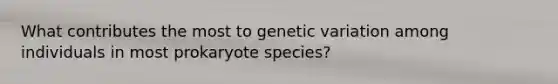 What contributes the most to genetic variation among individuals in most prokaryote species?