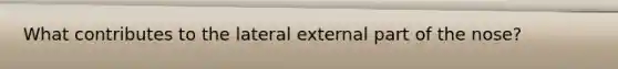 What contributes to the lateral external part of the nose?