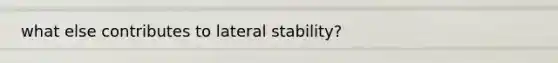 what else contributes to lateral stability?