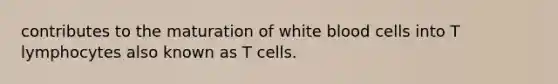 contributes to the maturation of white blood cells into T lymphocytes also known as T cells.