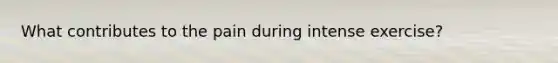 What contributes to the pain during intense exercise?