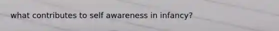 what contributes to self awareness in infancy?