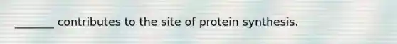 _______ contributes to the site of protein synthesis.