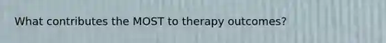 What contributes the MOST to therapy outcomes?