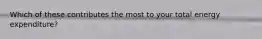 Which of these contributes the most to your total energy expenditure?