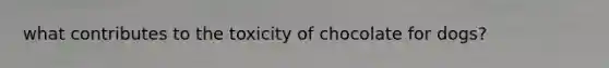 what contributes to the toxicity of chocolate for dogs?