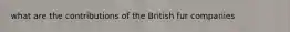 what are the contributions of the British fur companies