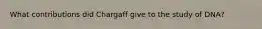 What contributions did Chargaff give to the study of DNA?