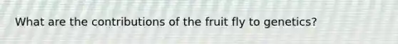 What are the contributions of the fruit fly to genetics?