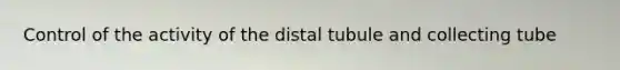 Control of the activity of the distal tubule and collecting tube