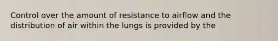 Control over the amount of resistance to airflow and the distribution of air within the lungs is provided by the