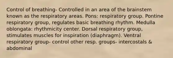 Control of breathing- Controlled in an area of the brainstem known as the respiratory areas. Pons: respiratory group. Pontine respiratory group, regulates basic breathing rhythm. Medulla oblongata: rhythmicity center. Dorsal respiratory group, stimulates muscles for inspiration (diaphragm). Ventral respiratory group- control other resp. groups- intercostals & abdominal