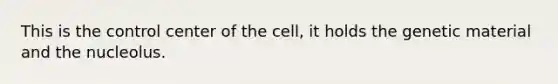 This is the control center of the cell, it holds the genetic material and the nucleolus.