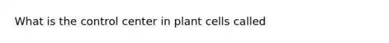 What is the control center in plant cells called