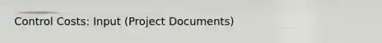 Control Costs: Input (Project Documents)