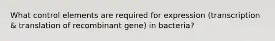 What control elements are required for expression (transcription & translation of recombinant gene) in bacteria?