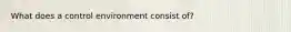 What does a control environment consist of?