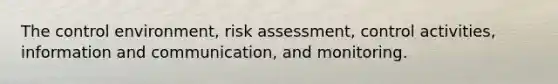 The control environment, risk assessment, control activities, information and communication, and monitoring.