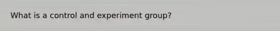 What is a control and experiment group?