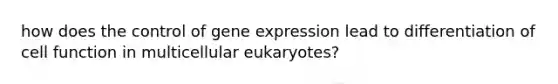 how does the control of gene expression lead to differentiation of cell function in multicellular eukaryotes?