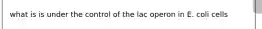 what is is under the control of the lac operon in E. coli cells